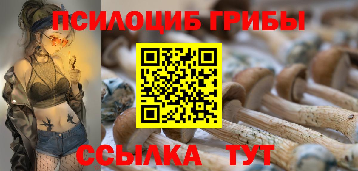 Псилоцибиновые грибы GOLDEN TEACHER  Псилоцибиновые грибы ЛСД  Вход с VPN  Бугуруслан 